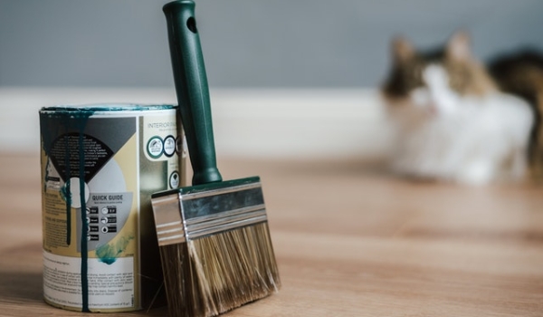 pexels-anete-lusina-4792527 pexels-anete-lusina-4792527